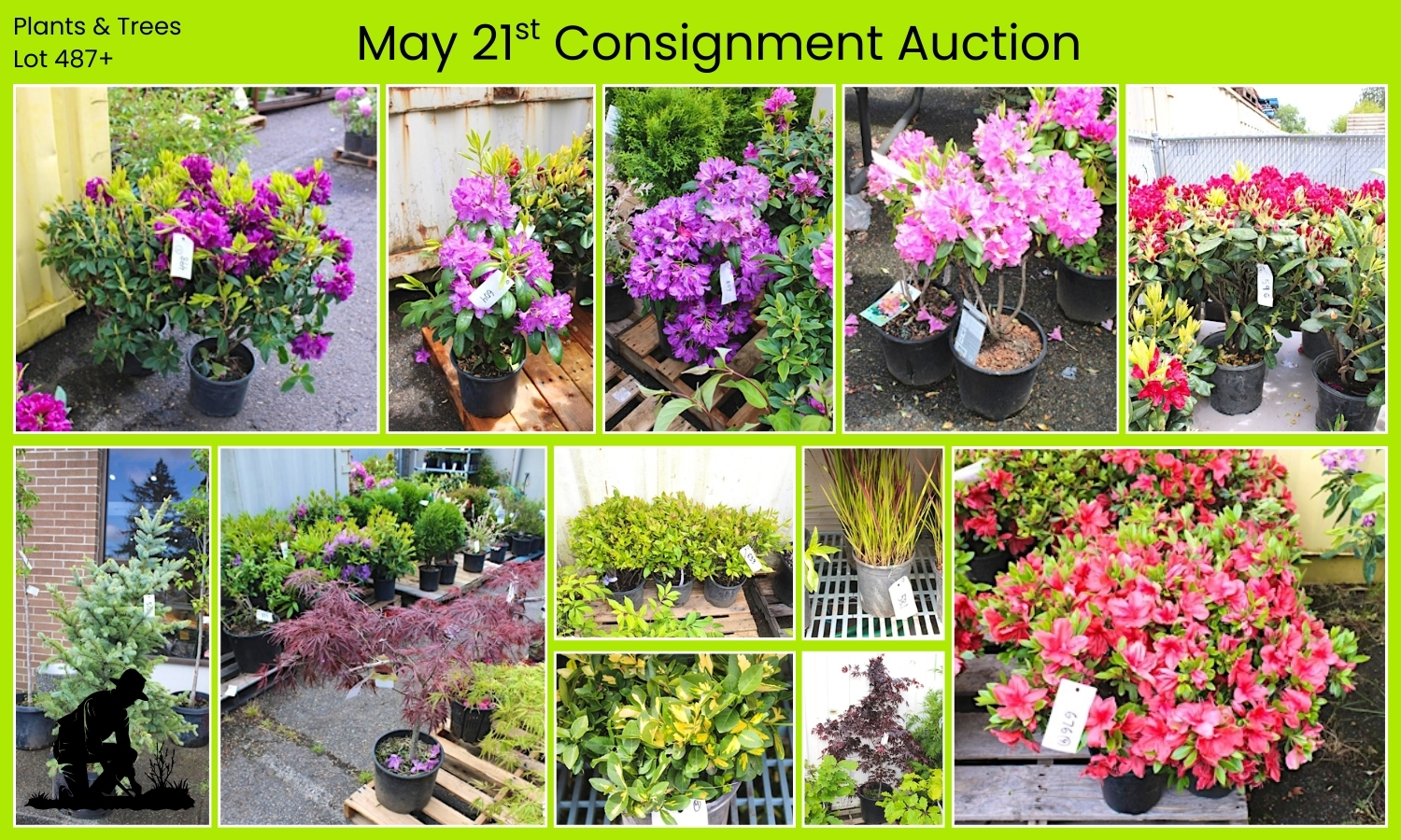 May 21st Consignment Auction (3)